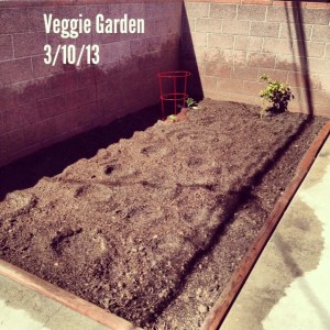 Vegetable Garden