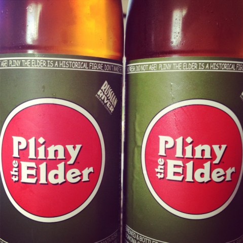 Pliny The Elder